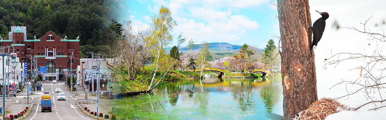 風景画像