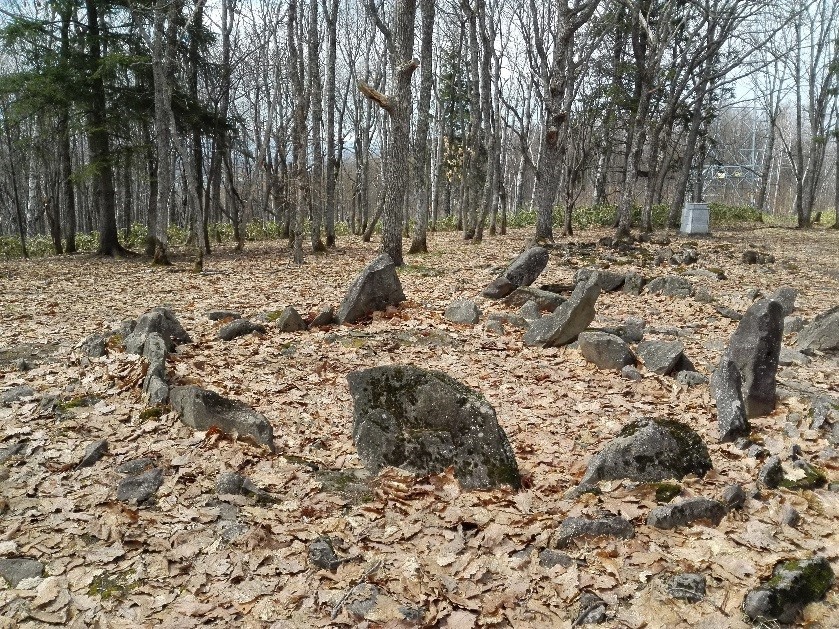 %EF%BC%97.jpg
